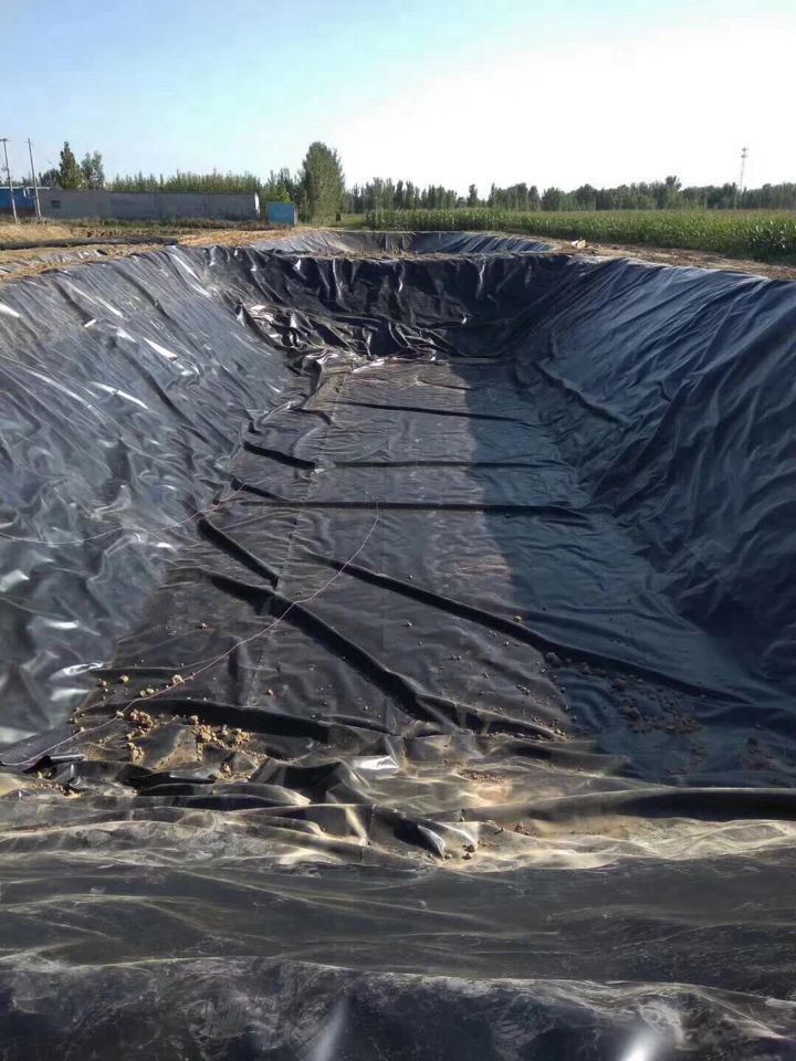 HDPE geomembrane 3